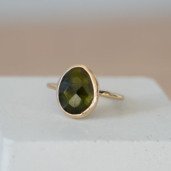 Ring Skogen